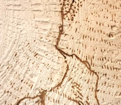 Paper Mache